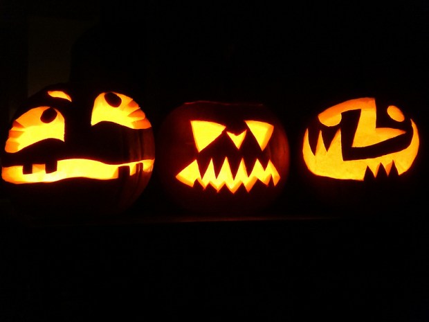 Pumpkin Family