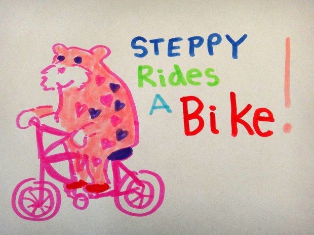 Steppy Rides A Bike