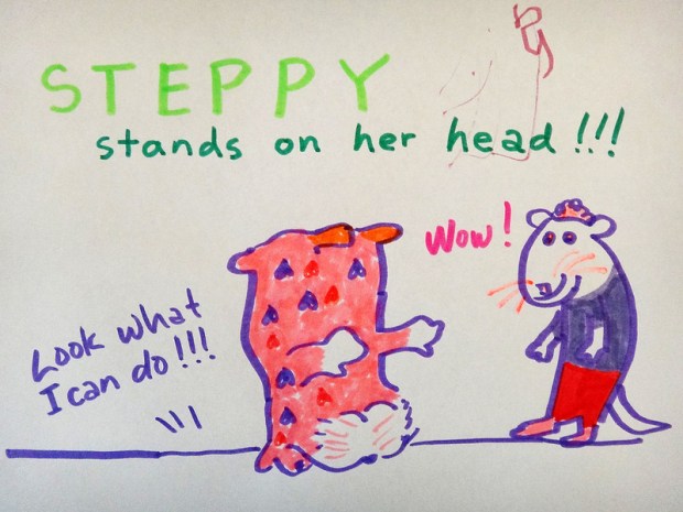 Steppy Stands On Her Head