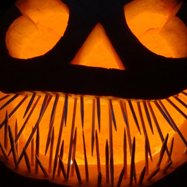 Halloween Pumpkins / 3